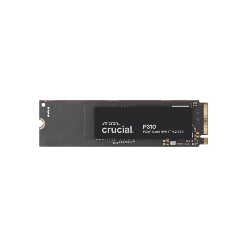 CT500P310SSD8-1
